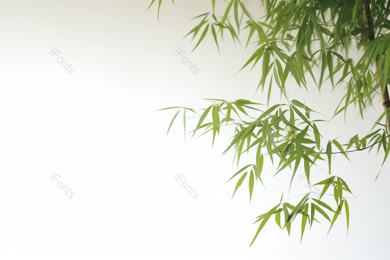 绿色竹子竹叶特写镜头拍摄,高清,摄影图,摄影图片,图片大全,摄影图免费下载